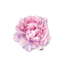 תחתית לכוס אדמונית