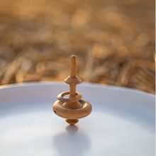 סביבון הילה