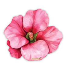 תחתית לכוס היביסקוס חדש