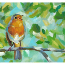 הדפס אדום החזה על ענף