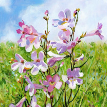 הדפס פרחים סגולים ושמיים